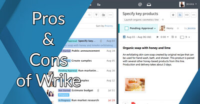 مزایا و معایب نرم افزار رایک (Wrike)