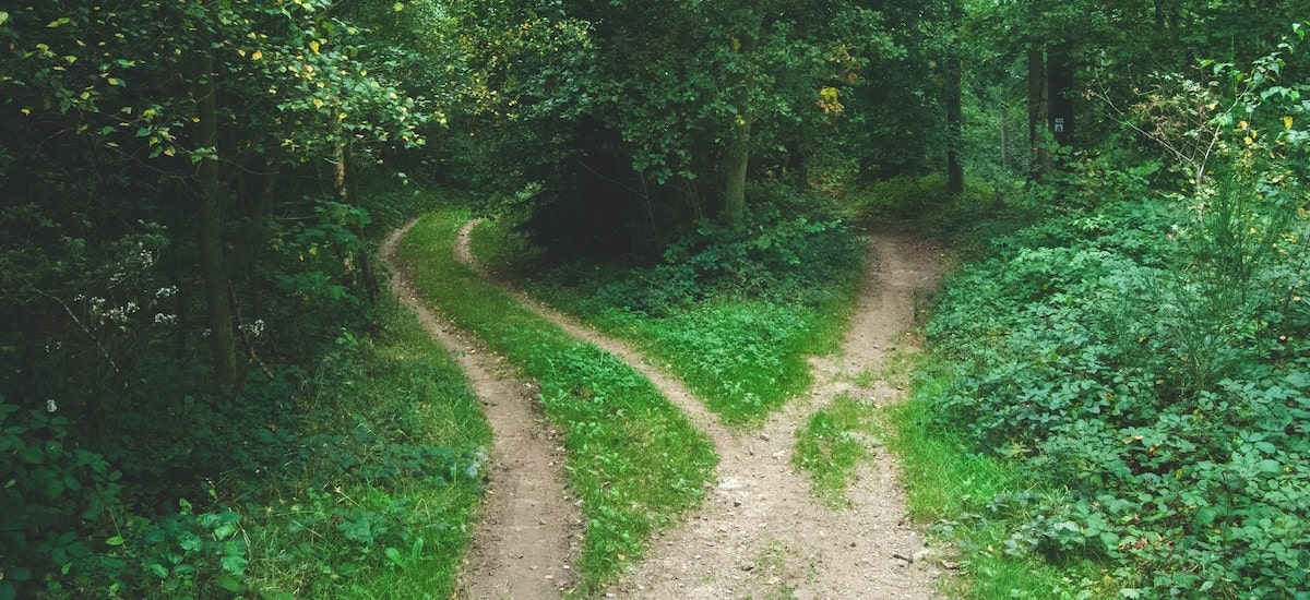 کاربردهای سیستم پشتیبان تصمیم DSS